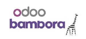 odoo bambora
